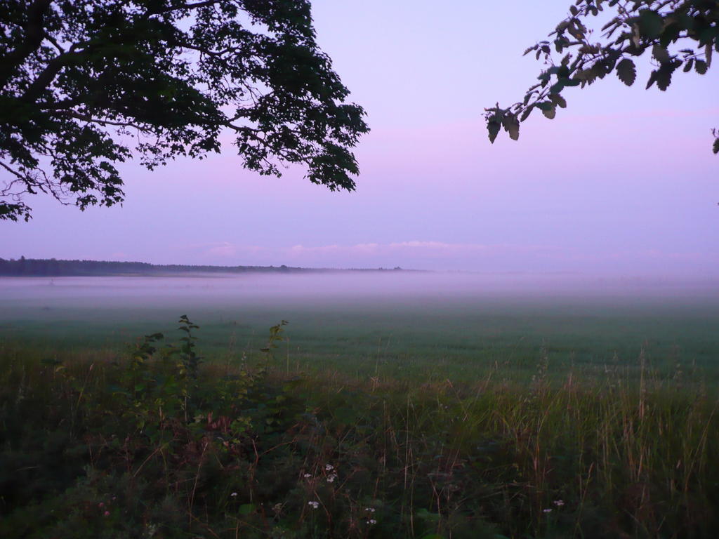 Skogis Bed&Breakfast Katrineholm Eksteriør bilde