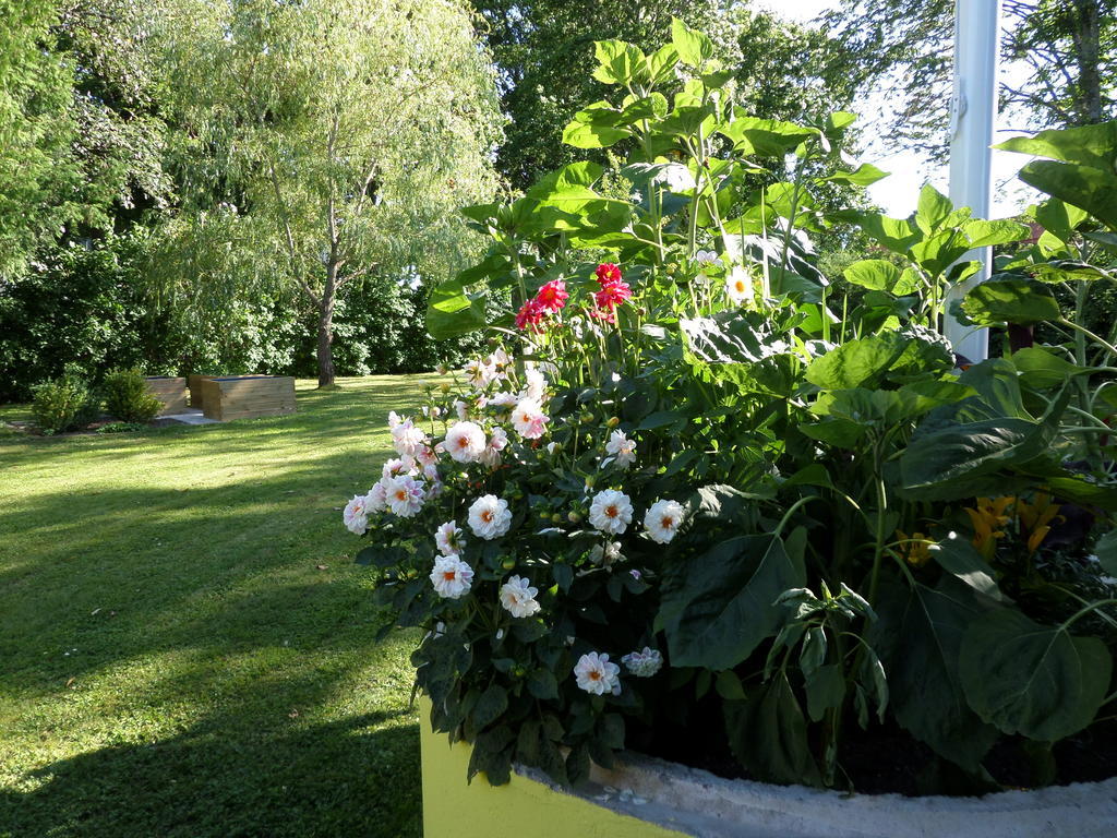 Skogis Bed&Breakfast Katrineholm Eksteriør bilde
