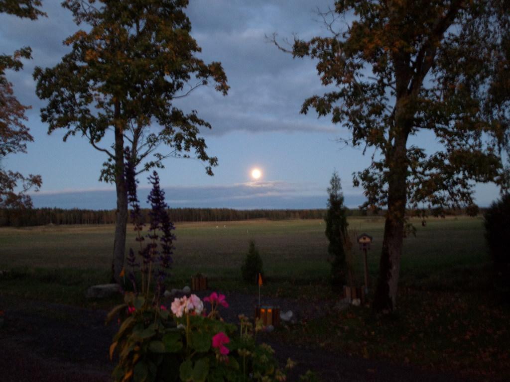 Skogis Bed&Breakfast Katrineholm Eksteriør bilde